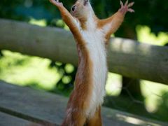 -乡坝头外婆菜(东方欧城仁寿七分店)