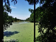 -上海海湾国家森林公园