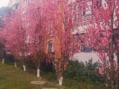 -西南民族大学南区(双流校区)