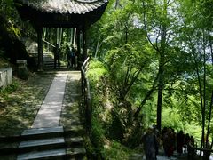 -东天目山风景区