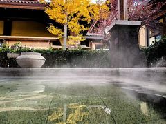 -大连金石滩绿发温泉假日酒店