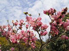 -九龙潭景区