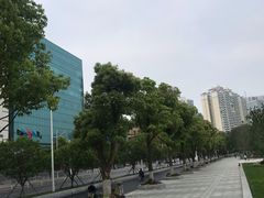 -西北湖绿化广场