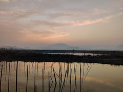 -北岐滩涂