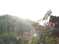 -林坑古村落