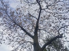 -团结湖公园