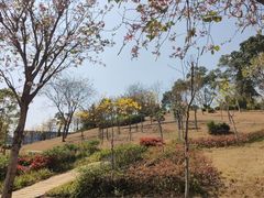 -中国移动南方基地