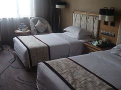 -长沙小天鹅戴斯酒店