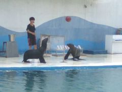 -北戴河圣蓝海洋公园