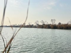-漕湖湿地公园