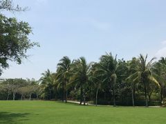 -海棠湾洲际-涛·海底餐厅·美人鱼·自助餐·海底隧道