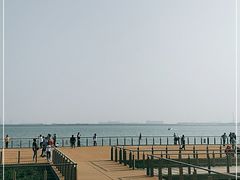 -东疆建设开发纪念公园