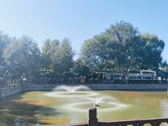 -尚庄度假村·庭台树下·户外烧烤·团建CS·轰趴营地(上庄水库店)