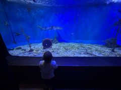 -太平洋海底世界