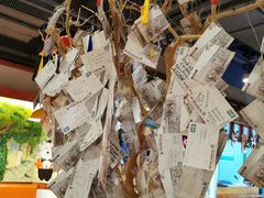 -胡桃里音乐酒馆(白云五号T5 MALL店)