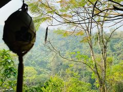 -西双版纳原始森林公园