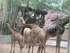 -长鹿旅游休博园