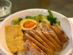 金奖卤鹅肉饭-陈鹏鹏潮汕菜(宝安机场T3航站楼店)