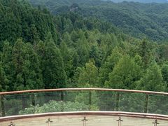 -山王坪喀斯特国家生态公园