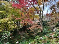 -三千院