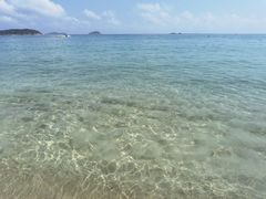 -渔家火锅·海鲜自助餐·演艺(亚龙湾天域酒店)