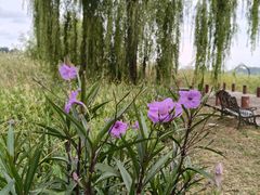 -云漫湖生态度假公园