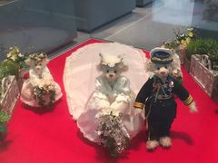 -济州岛泰迪熊博物馆