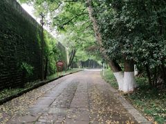 -九华山公园