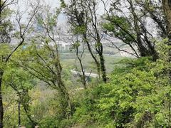-南京市江宁方山