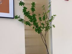 -万达广场(南宁青秀店)