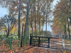 -河南省黄河迎宾馆