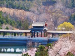 -北宫国家森林公园