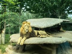 -北京野生动物园