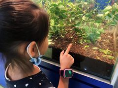 -上海昆虫博物馆