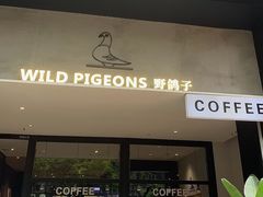-野鸽子咖啡(航空路店)