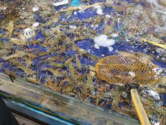 -79号渔船海鲜饭店(华强北店)