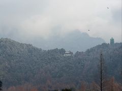 -曾福兴