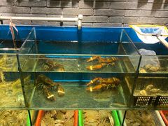 水产区-吉友粥底火锅(方斜路店)