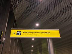 -谢列梅捷沃国际机场