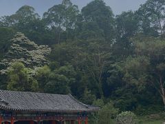 -深圳国际园林花卉博览园