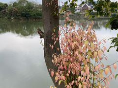 -五彩凉山自助西昌烧烤(柳翠路店)