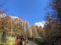 -山王坪喀斯特国家生态公园