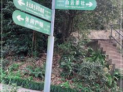-紫金山山顶公园