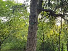 -北陵公园