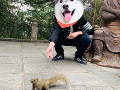 -苍山感通索道