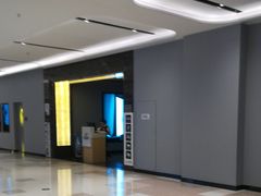 -万达影城(东城万达广场IMAX店)
