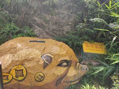 -南海湾森林生态园