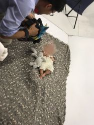 -布恩儿童摄影