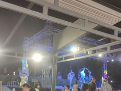 -渔家火锅·海鲜自助餐·演艺(亚龙湾天域酒店)