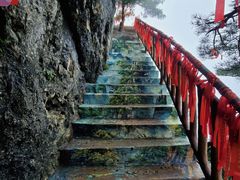 -秦岭天竺山生态文化旅游景区